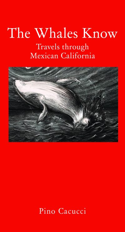 The Whales Know